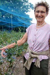 Hofladen Heidelbeeren Everth