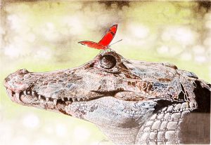 Jömi, Krokodil mit Schmetterling