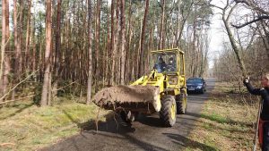 Kleine Plane, Brück