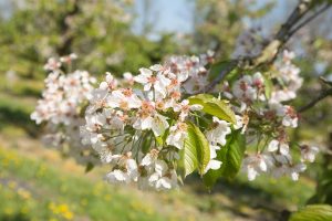 Gerade noch rechtzeitig