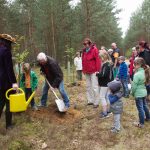 Baumkönigin, Esskastanie, Baum des Jahres 2018, Tempelwald