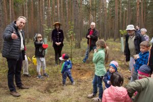 Baumkönigin, Esskastanie, Baum des Jahres 2018, Tempelwald