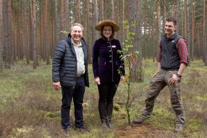 Baumkönigin, Esskastanie, Baum des Jahres 2018, Tempelwald