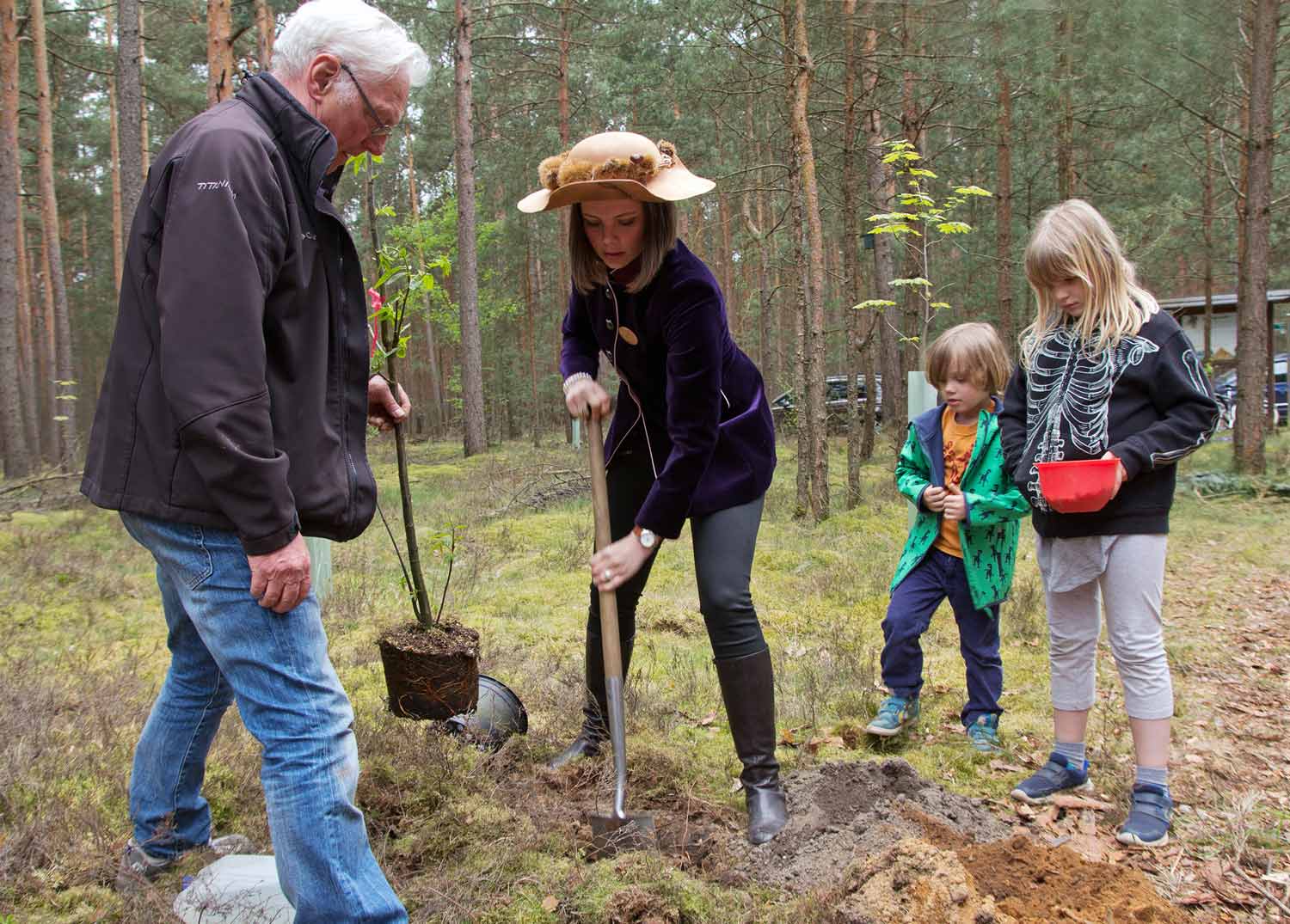 Baumkönigin, Esskastanie, Baum des Jahres 2018, Tempelwald