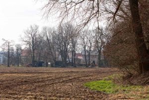 Lucksfleiß