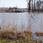 Haussee im Park Petzow