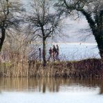 Haussee und Havel, Petzow