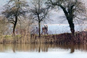 Haussee und Havel, Petzow