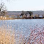 Haussee im Park Petzow