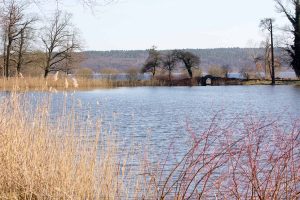 Haussee im Park Petzow