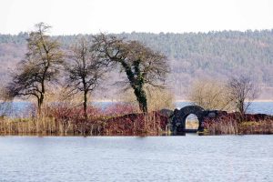 Haussee im Park Petzow