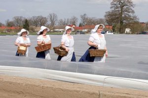 Beelitzer Spargelfrauen