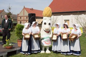 Beelitzer Spargel 2018