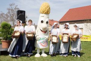 Beelitzer Spargel 2018