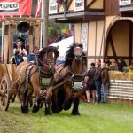 Titanen der Rennbahn 2018