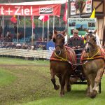 Titanen der Rennbahn 2018
