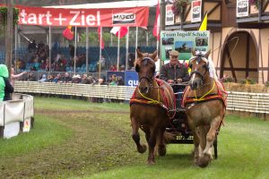 Titanen der Rennbahn 2018