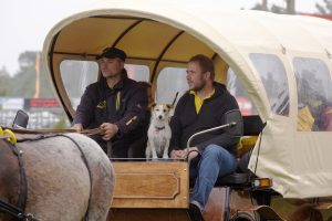 Titanen der Rennbahn 2018