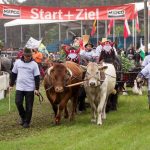 Titanen der Rennbahn 2018