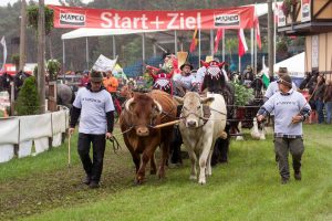 Titanen der Rennbahn 2018