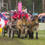Titanen der Rennbahn 2018