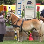 Titanen der Rennbahn 2018