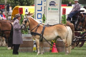 Titanen der Rennbahn 2018