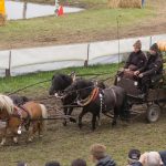 Titanen der Rennbahn 2018