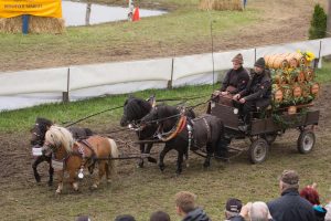 Titanen der Rennbahn 2018