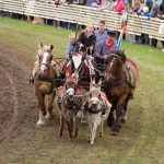 Titanen der Rennbahn 2018