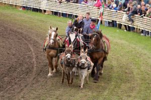 Titanen der Rennbahn 2018