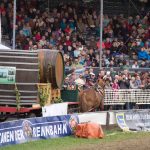 Titanen der Rennbahn 2018