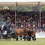 Titanen der Rennbahn 2018