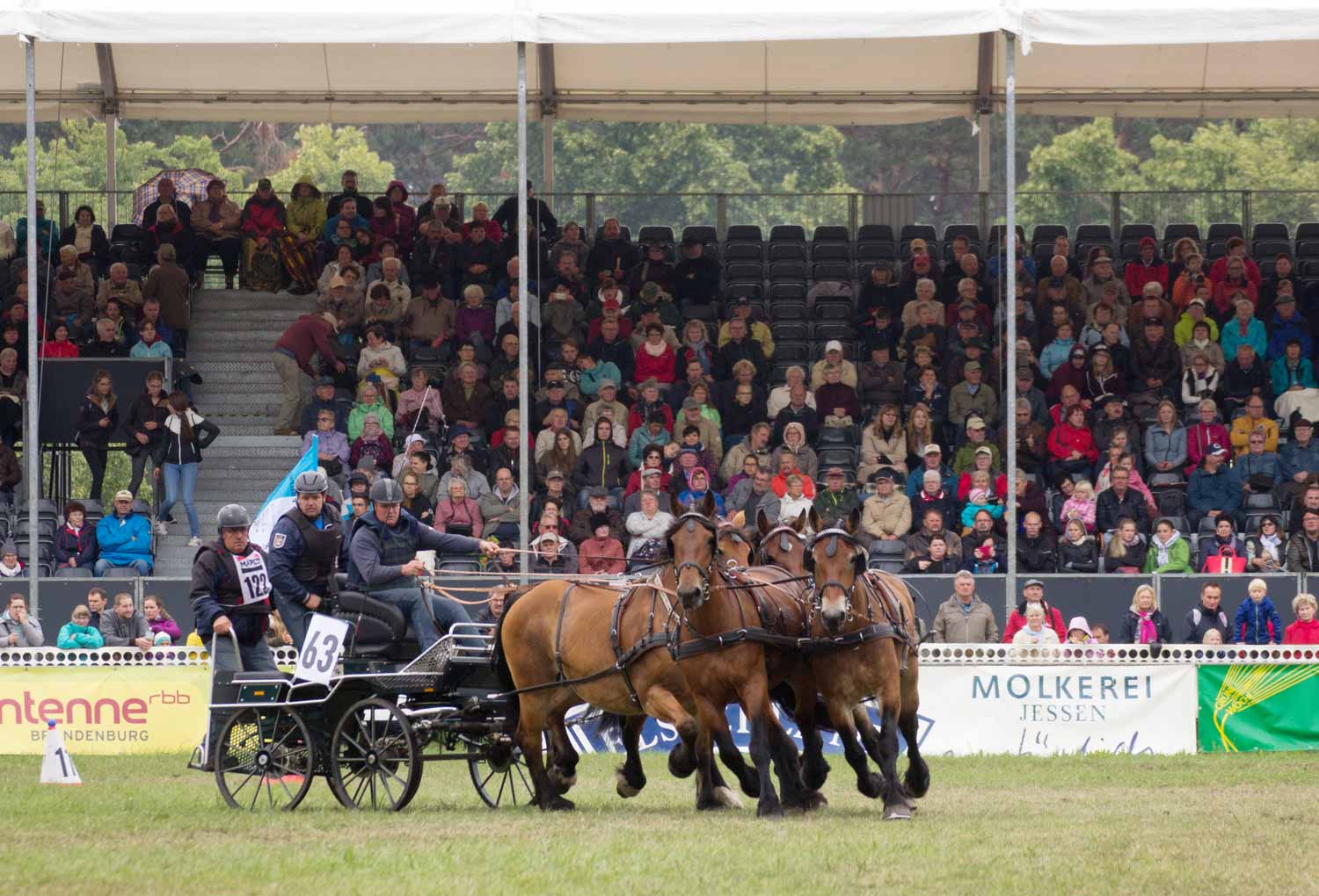 Titanen der Rennbahn 2018