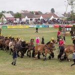 Titanen der Rennbahn 2018