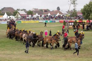 Titanen der Rennbahn 2018