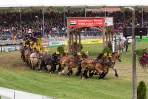 Titanen der Rennbahn 2018