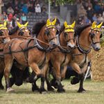 Titanen der Rennbahn 2018