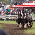 Titanen der Rennbahn 2018