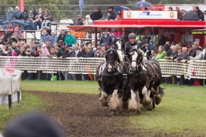 Titanen der Rennbahn 2018