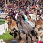 Titanen der Rennbahn 2018
