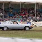Titanen der Rennbahn 2018