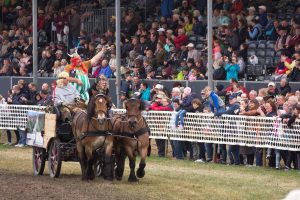Titanen der Rennbahn 2018