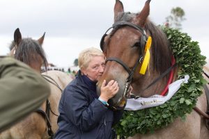 Titanen der Rennbahn 2018