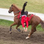 Titanen der Rennbahn 2018