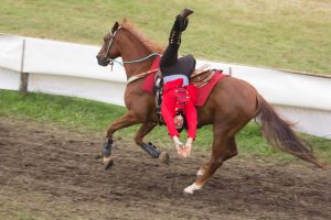 Titanen der Rennbahn 2018