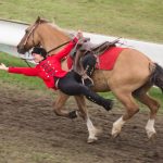 Titanen der Rennbahn 2018