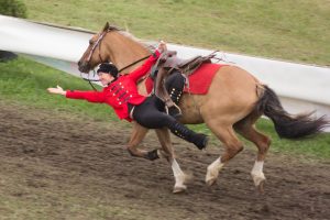 Titanen der Rennbahn 2018