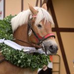 Titanen der Rennbahn 2018