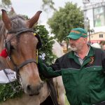 Titanen der Rennbahn 2018